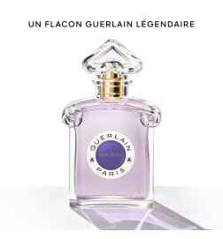 Insolence - Eau de Parfum